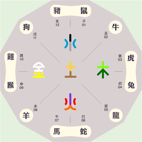 姍 五行|珊字的五行属性